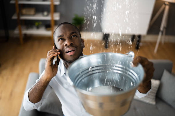 Best Flood damage cleanup  in Chubbuck, ID