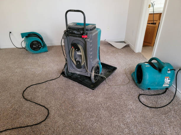 Best Fire Damage Restoration  in Chubbuck, ID
