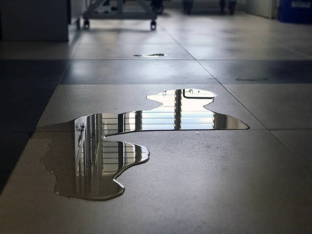 Best Commercial water damage restoration  in Chubbuck, ID